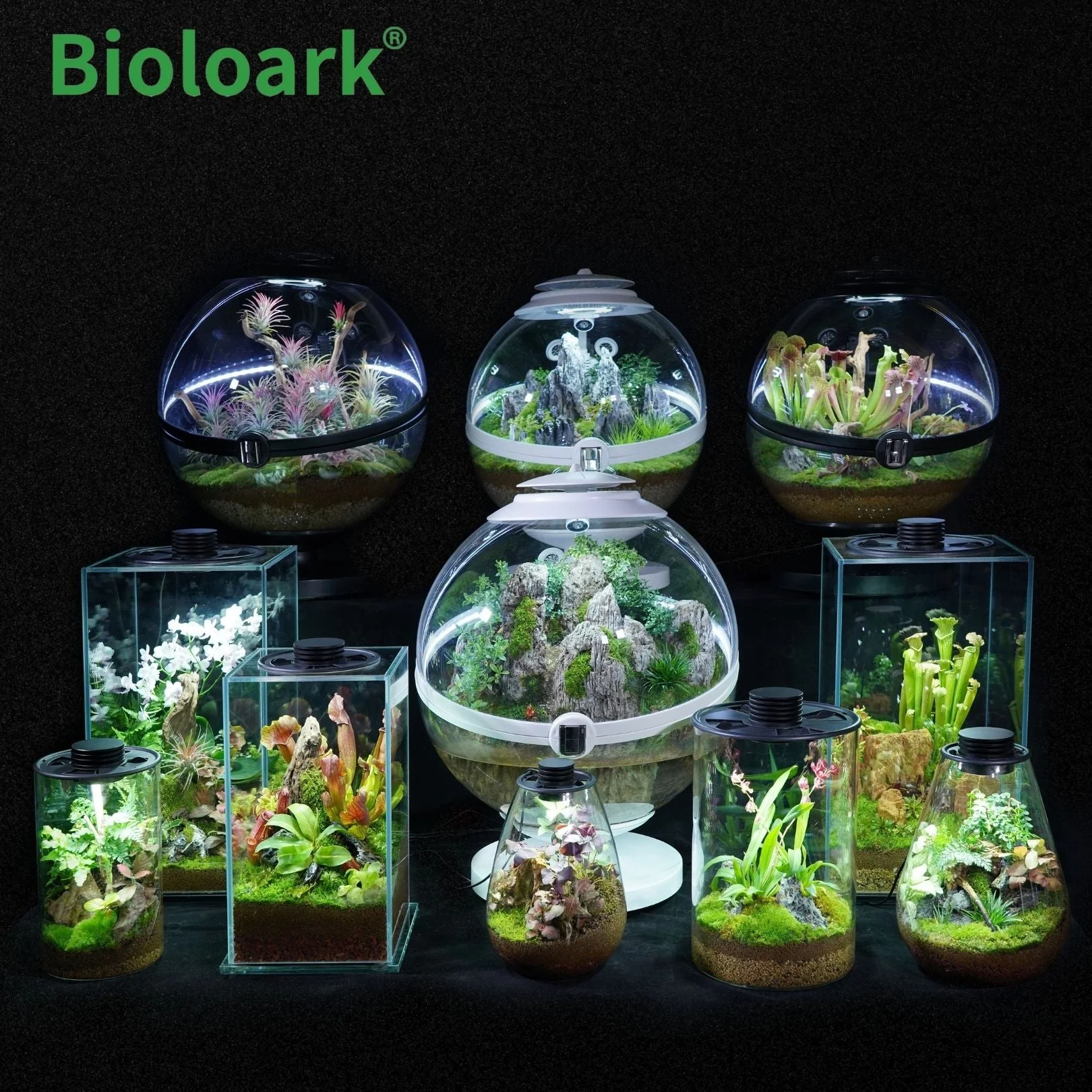 BIOLOARK - Tear Drop Terrarium (SD-175 / SD-200) - Image 6