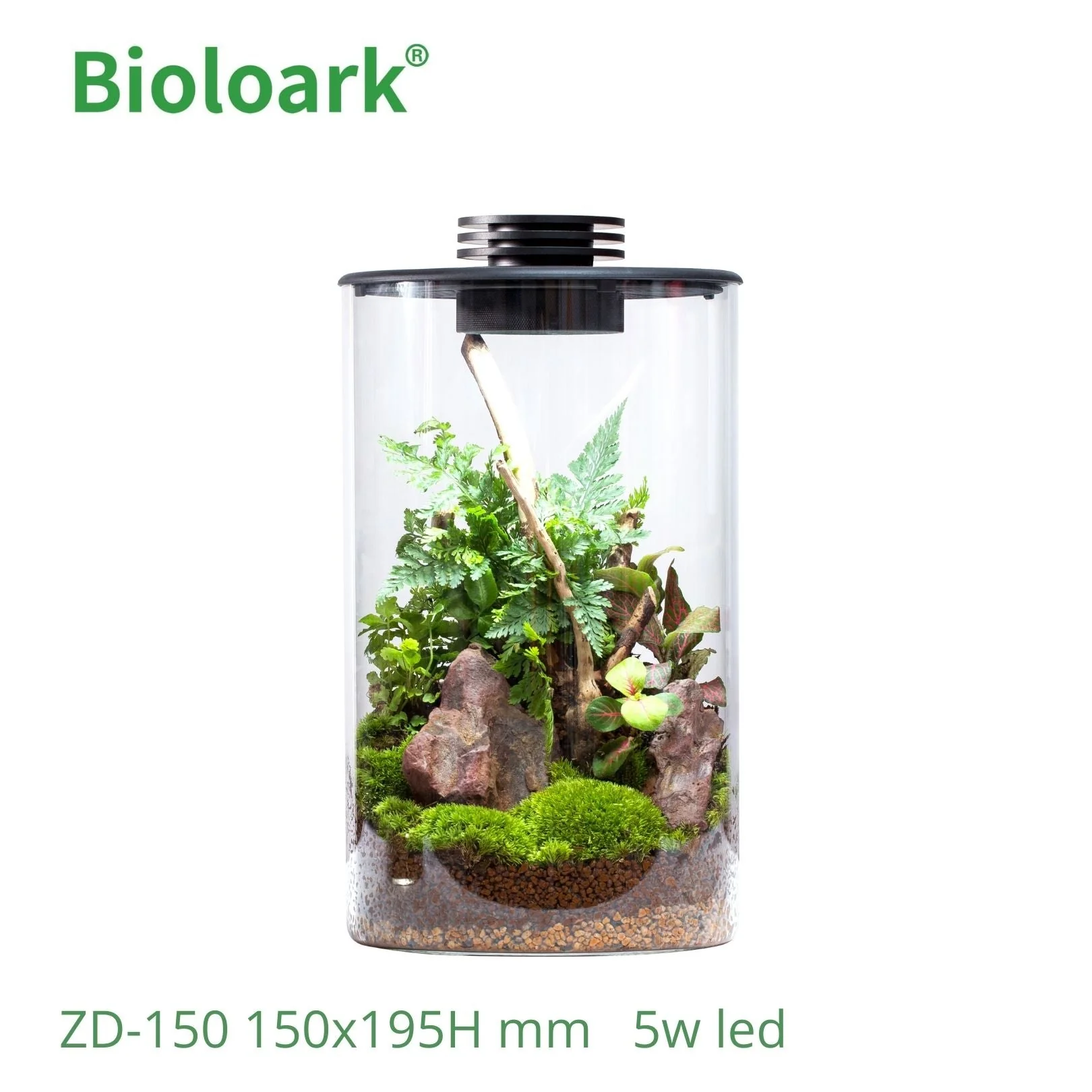 BIOLOARK - Cylindrical Terrarium (ZD-150 / ZD-200) - Image 3