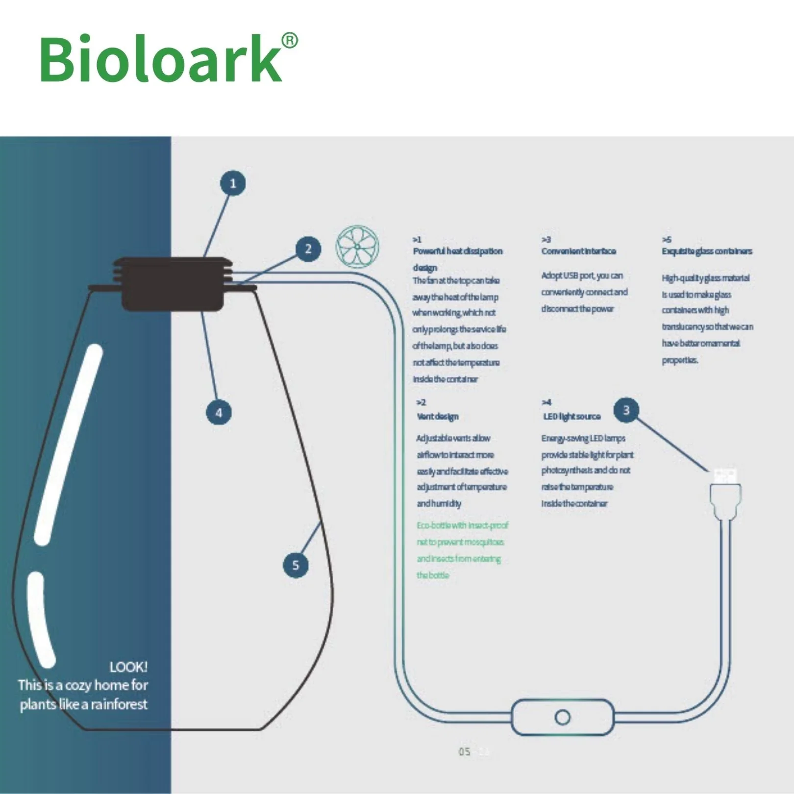 BIOLOARK - Cylindrical Terrarium (ZD-150 / ZD-200) - Image 6