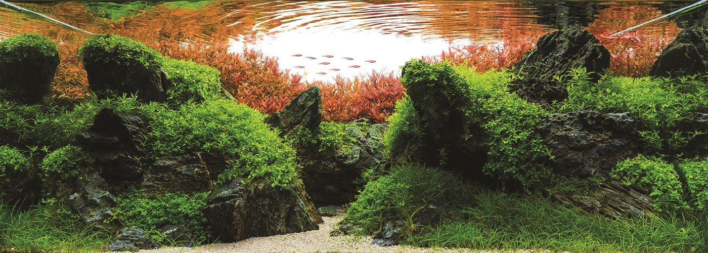 TROPICA Aquarium Soil 3L /9L - Image 5