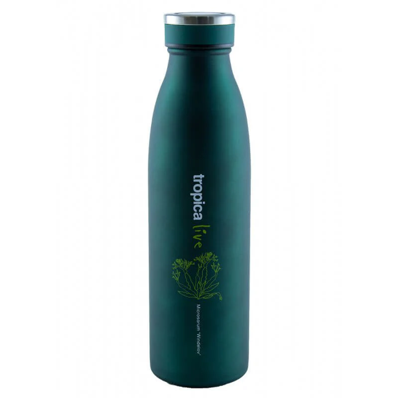 Tropica Live Water Bottle Microsorum Windeløv