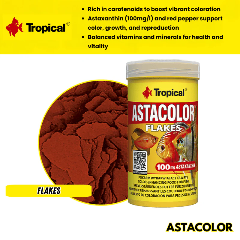 Tropical Astacolor  Flakes (high astaxanthin feed)