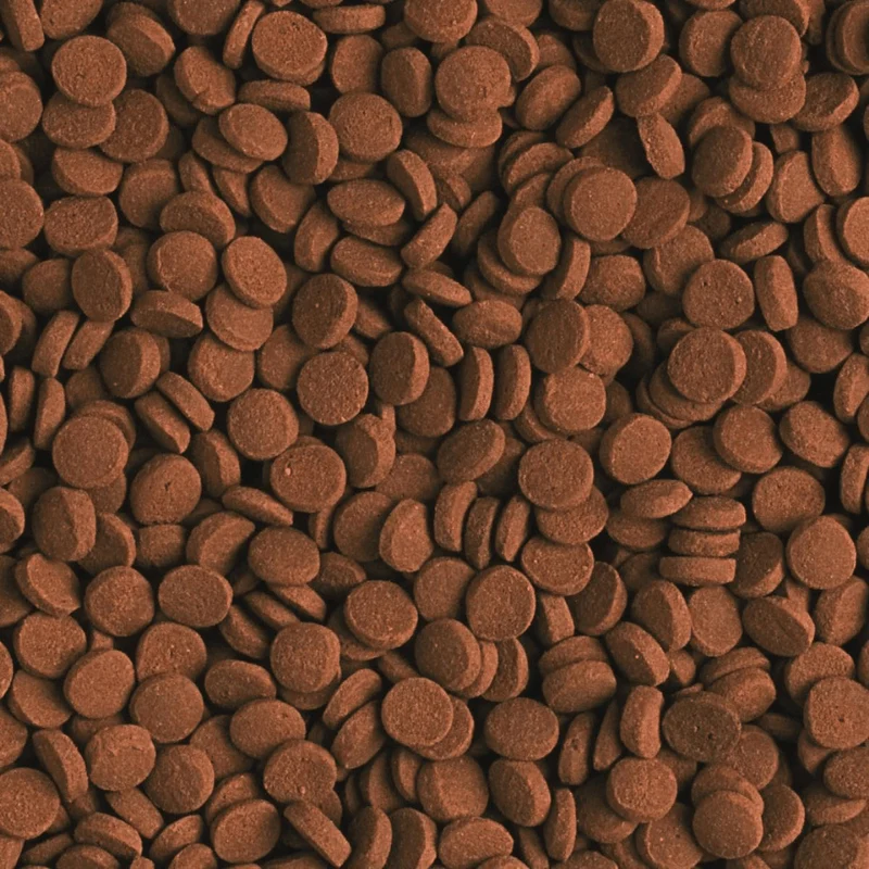 Tropical Carnivore (high energy and protein) - Image 2