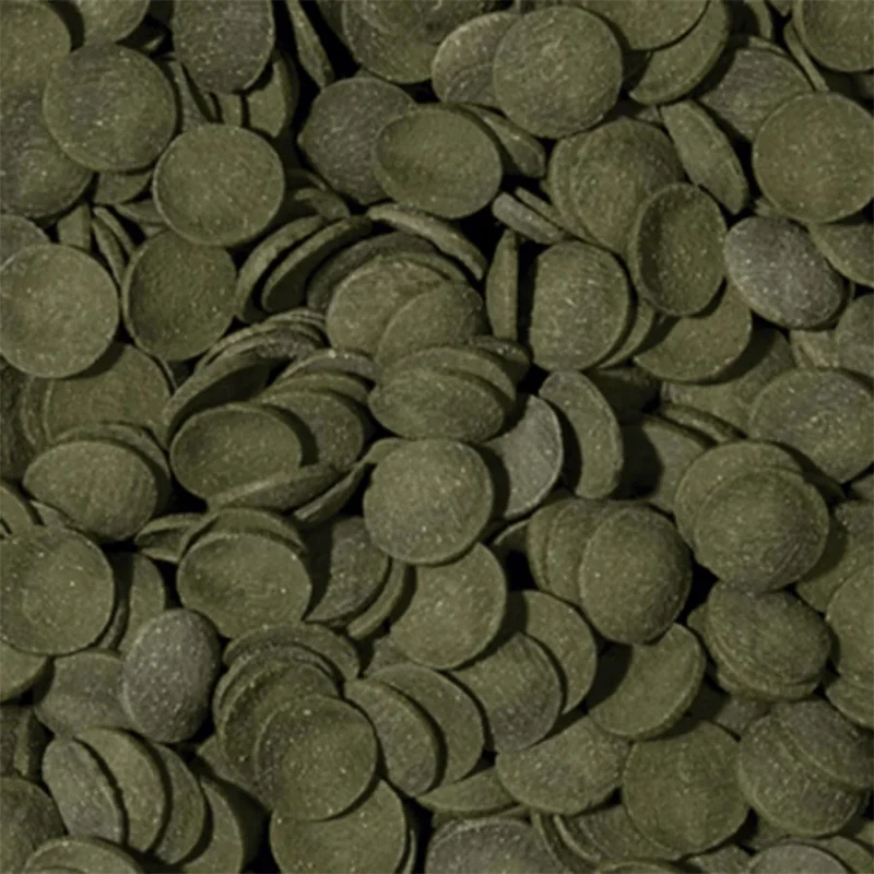 Tropical Green Algae Wafers (boost with spirulina) - Image 2