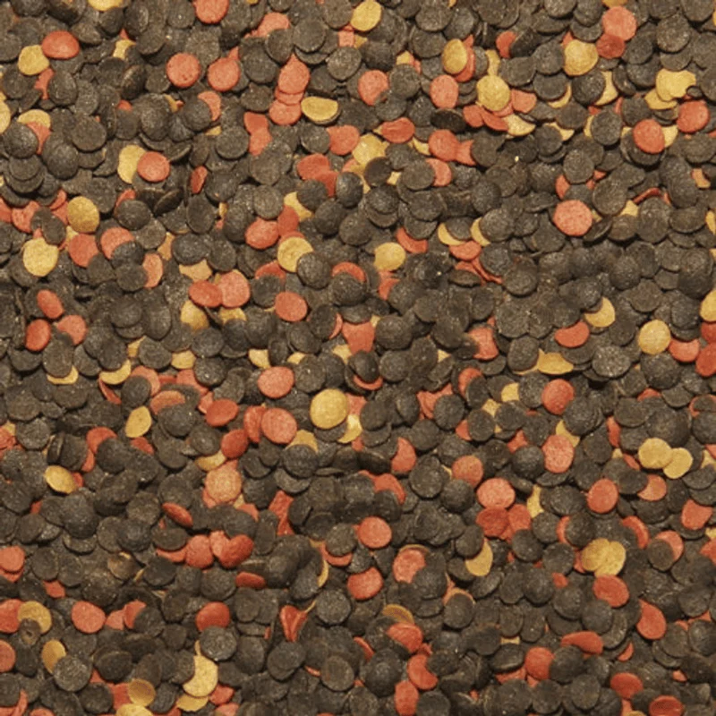 Tropical Malawi Chips (sinking veg chips) - Image 2