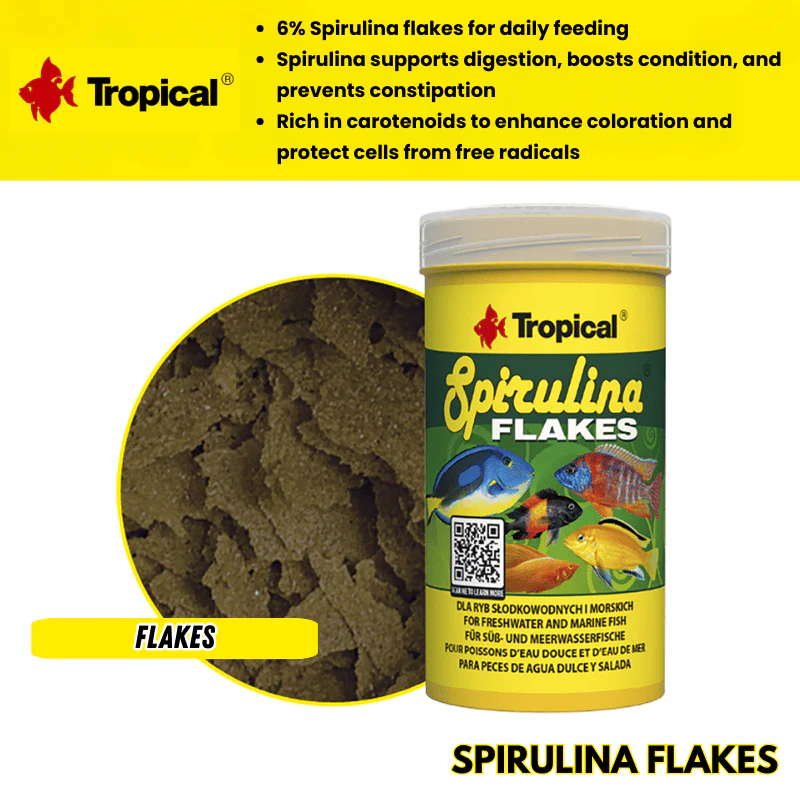 Tropical Spirulina Flakes (6% spirulina)