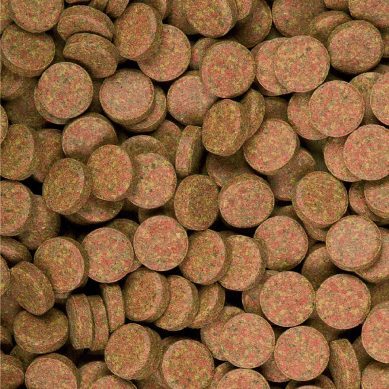 Tropical Supervit Tablets A (stick to tank) - Image 2