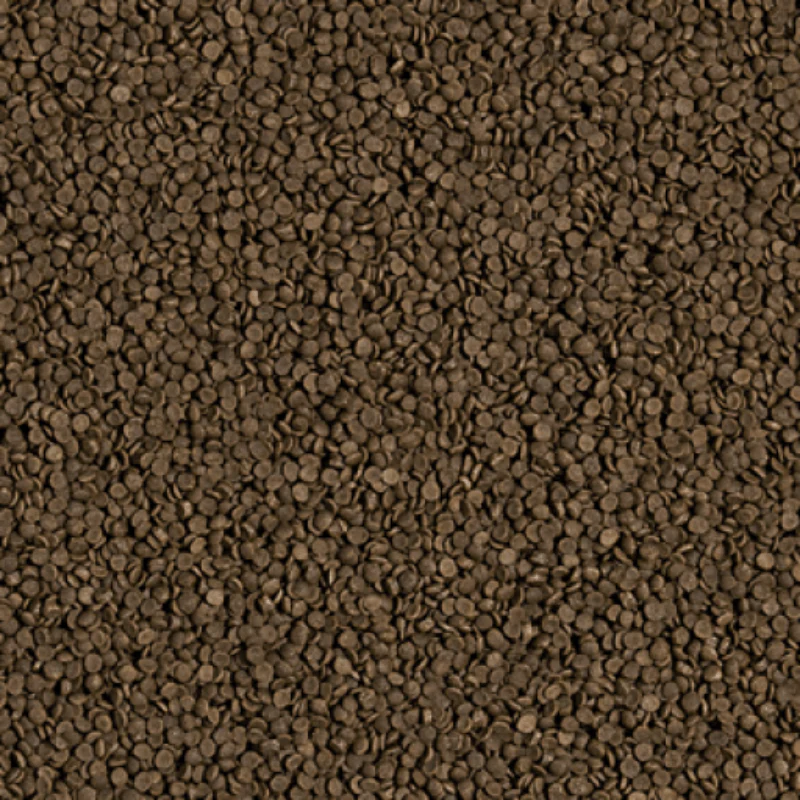 Tropical Welsi Gran (mini sinking wafer) - Image 2