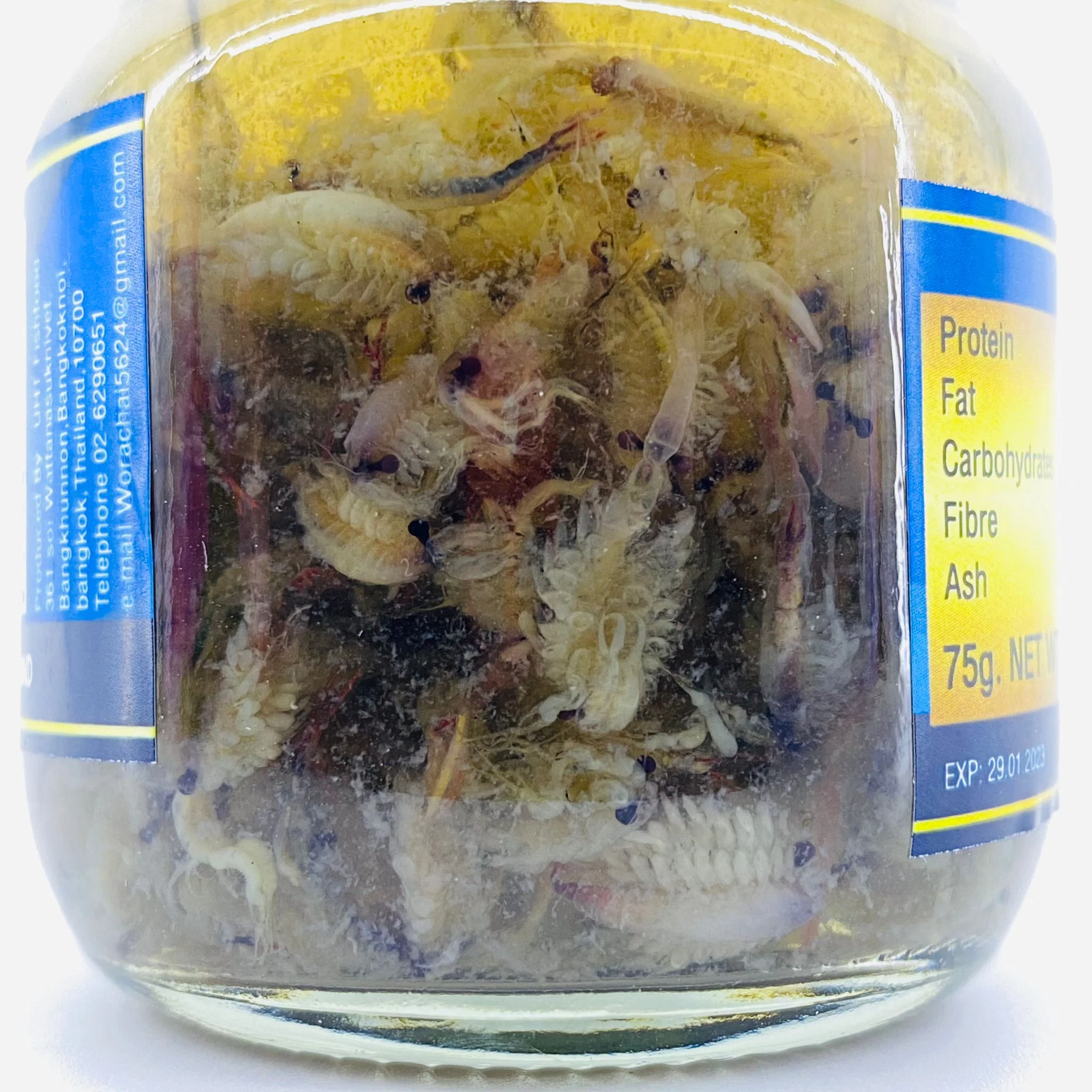 UHT Fairy Shrimp - 75g (Bottled) - Image 4