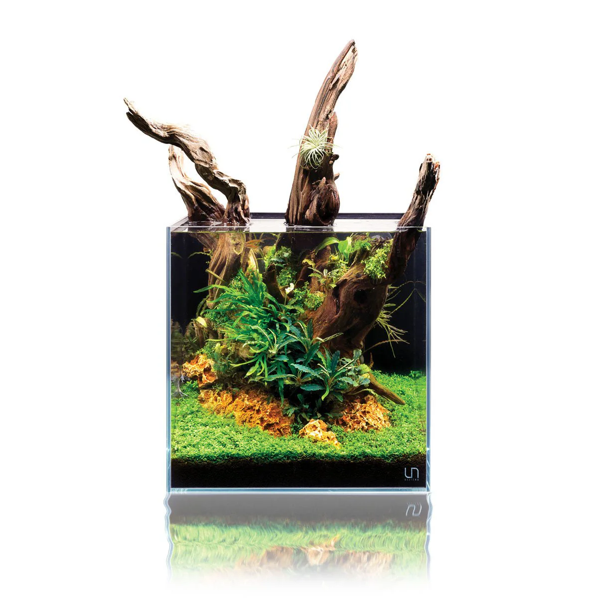 UNS Rimless Glass Aquarium Tank - Image 3