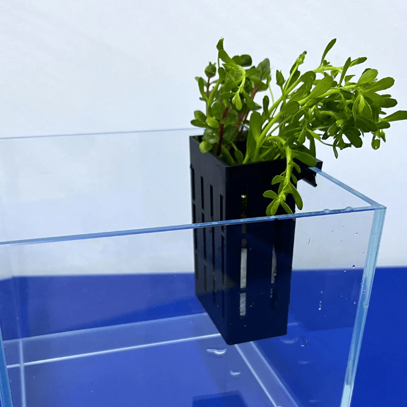 UP AQUA CA-AC-010-B Hydroponic Box (black/grey) Plant holder - Image 4