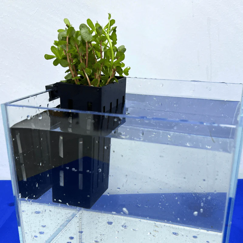 UP AQUA CA-AC-010-B Hydroponic Box (black/grey) Plant holder - Image 8
