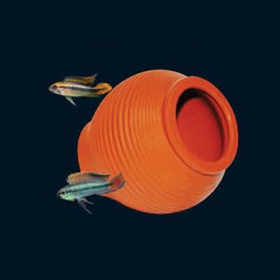 UP AQUA Deco (Various Design) - Image 5