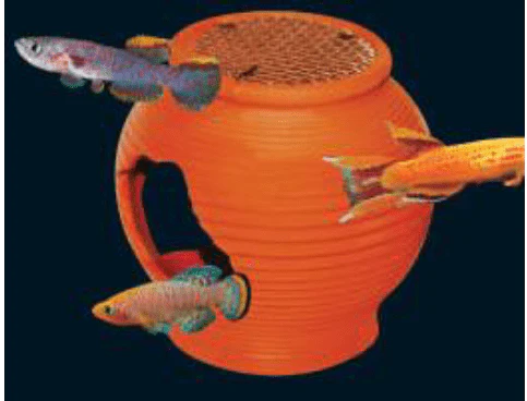 UP AQUA Deco (Various Design) - Image 7