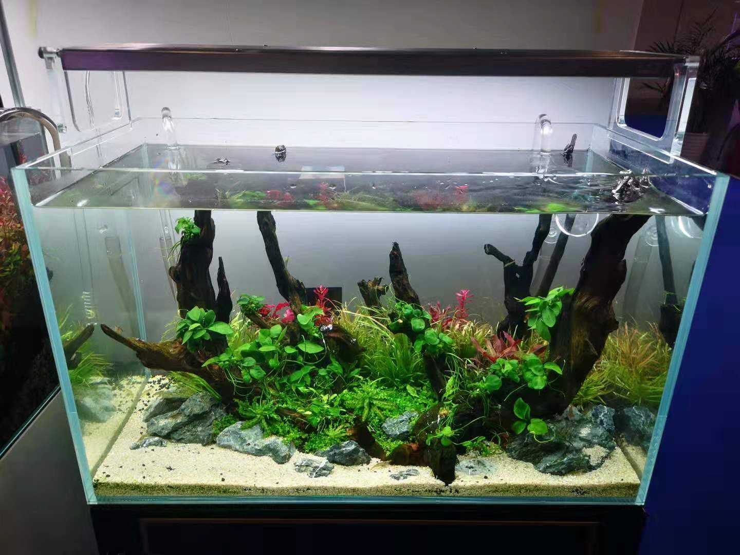 Week Aqua L - Series Pro LED Light (60cm - 120cm) - Image 11