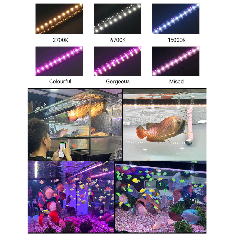 Week aqua T12 Submersible Tanning Light (2ft,3ft,4ft,5ft)-Full spectrum aquarium lamp - Image 6