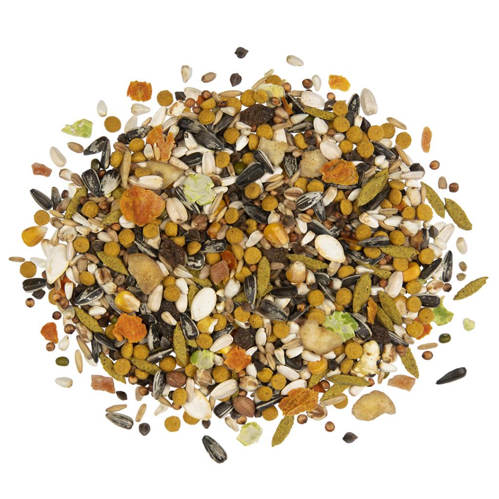 WITTE MOLEN Country Parrot 2kg - Image 3