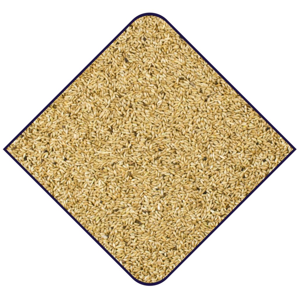 WITTE MOLEN Expert One Canary Seeds 20kg - Image 2