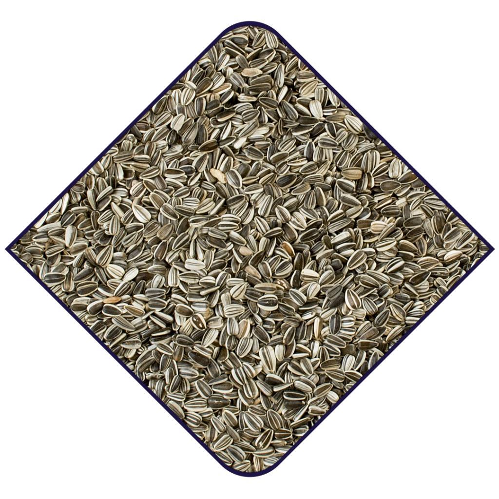 WITTE MOLEN Expert One Niger Seeds 18kg - Image 2