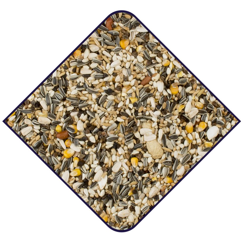 WITTE MOLEN Expert Parrots 15kg - Image 3
