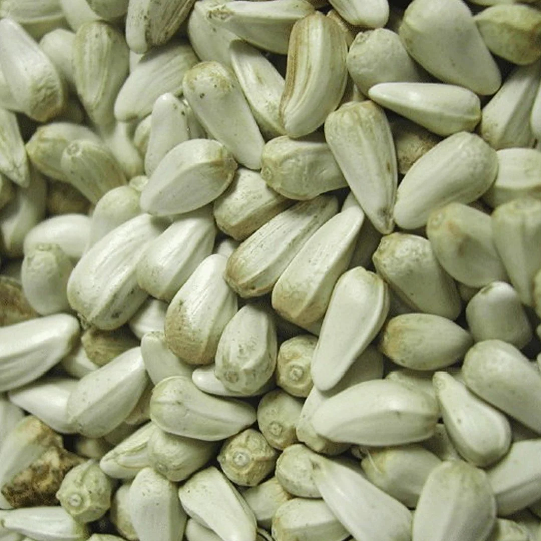 WITTE MOLEN Expert One Safflower Seeds 15kg