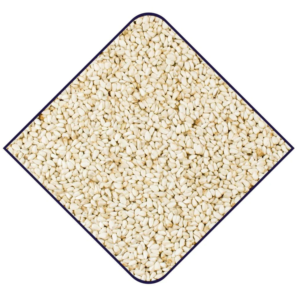 WITTE MOLEN Expert One Safflower Seeds 15kg - Image 2