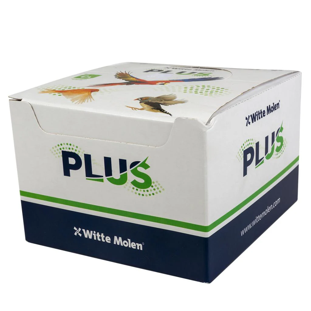 WITTE MOLEN Plus Energy Blocks (White) - Image 3