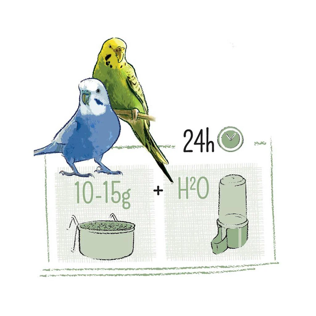 WITTE MOLEN Puur Budgie - Image 4