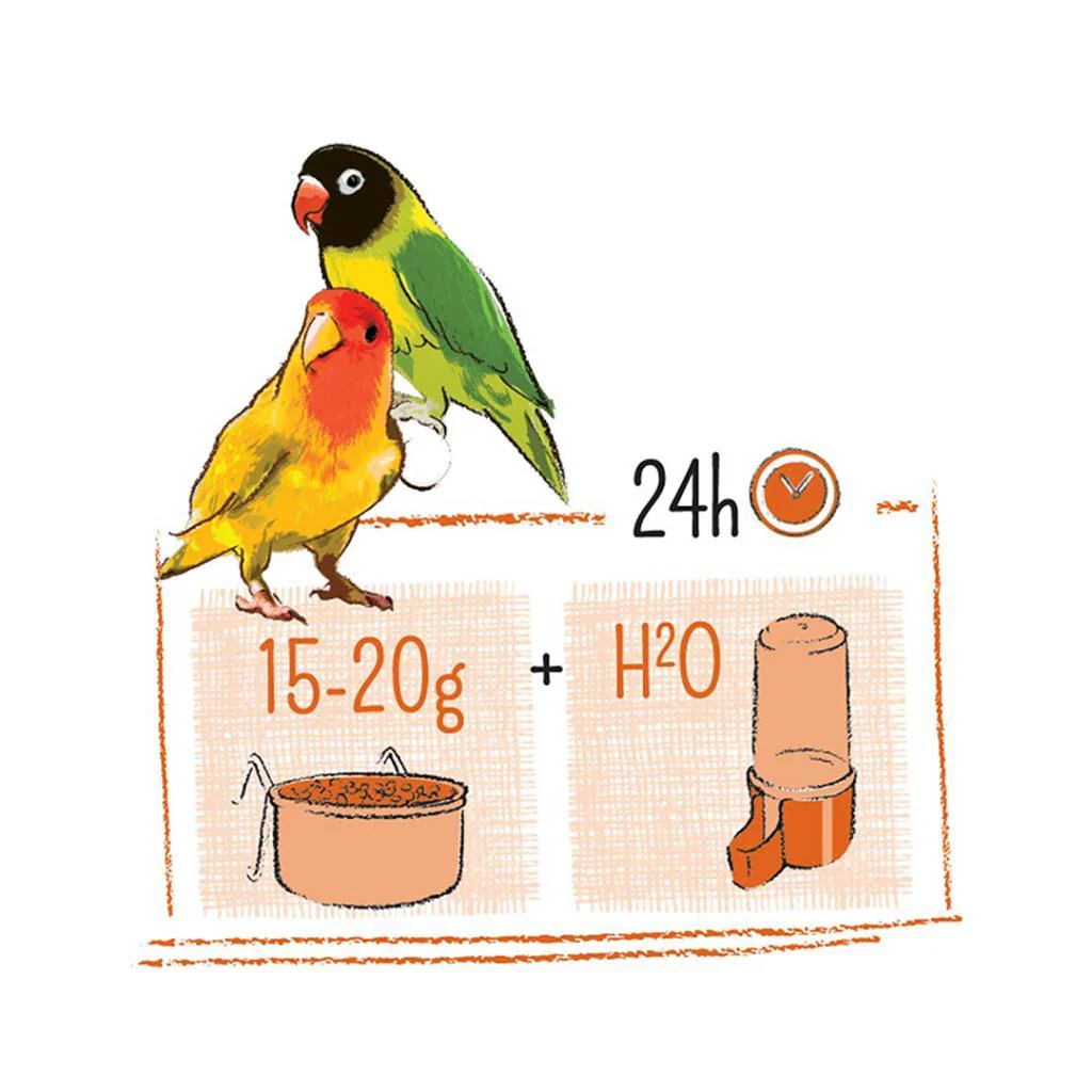 WITTE MOLEN Puur Lovebird - Image 3