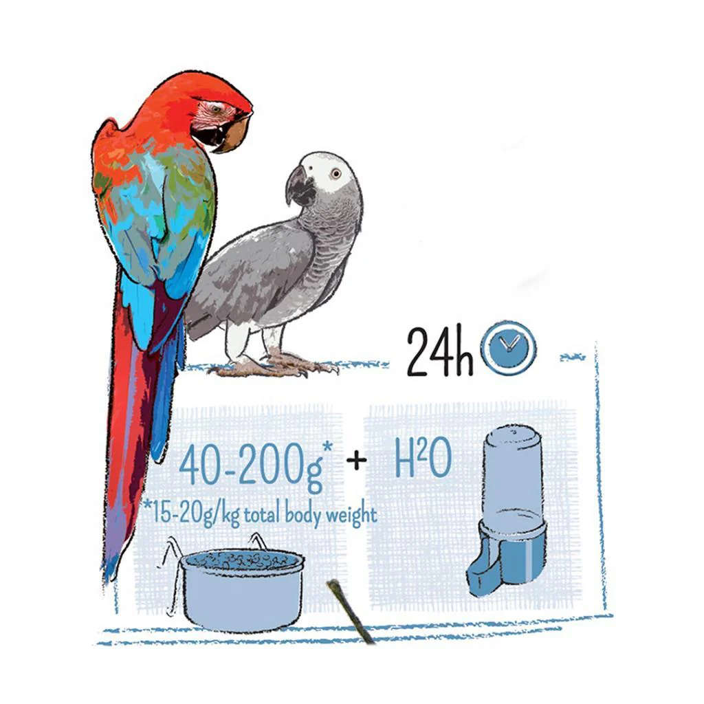 WITTE MOLEN Puur Parrot 2kg - Image 4
