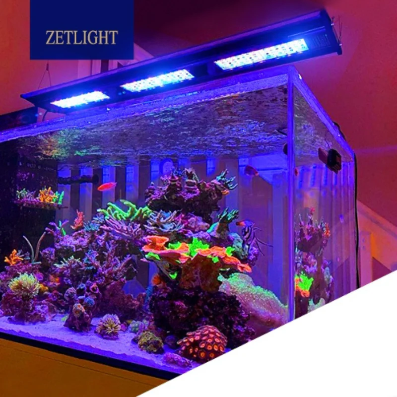 ZETLIGHT Q6-60 Marine Light (95W) - Image 2