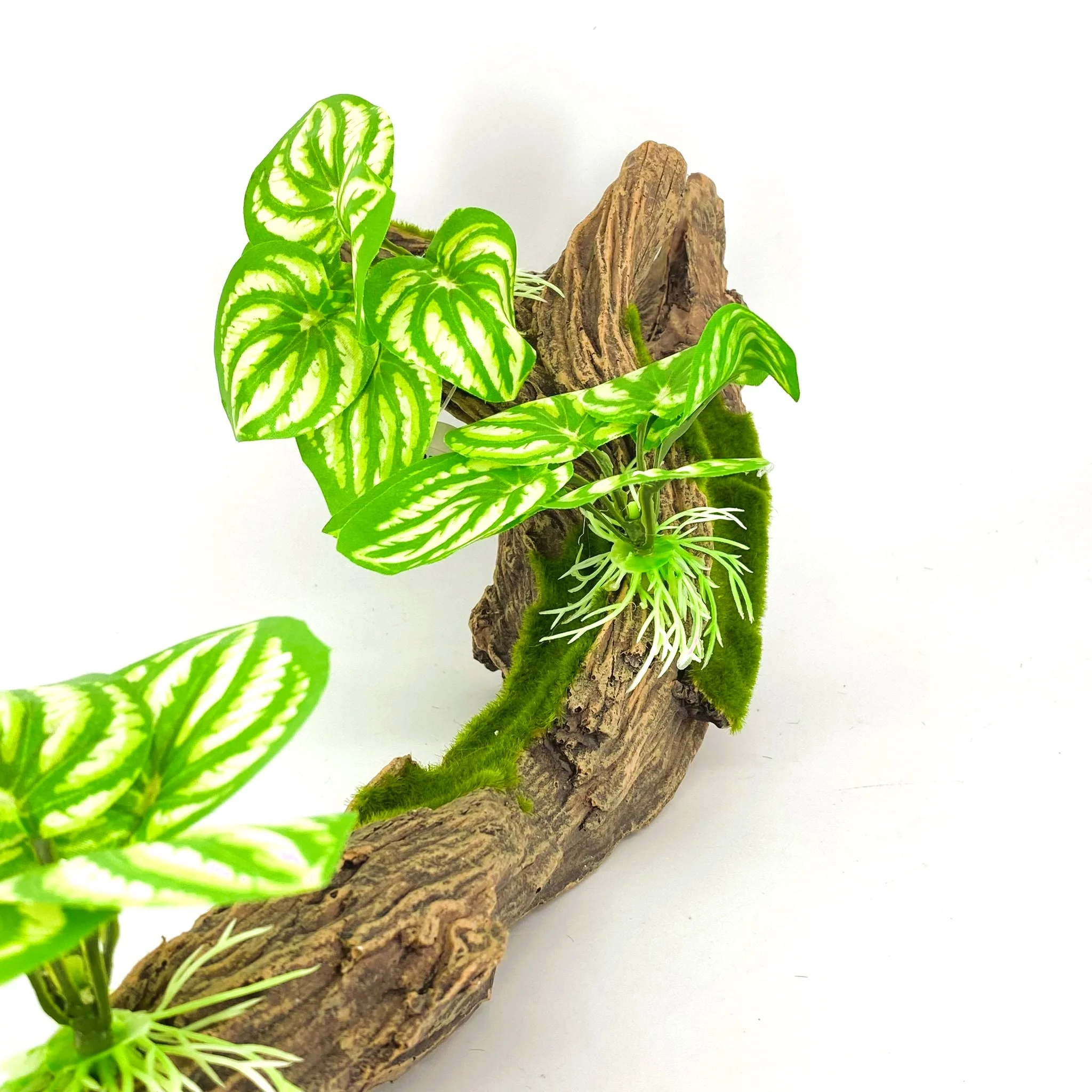 Zhen De Decoration - Wood w/ Plants - F07-6 - Image 3