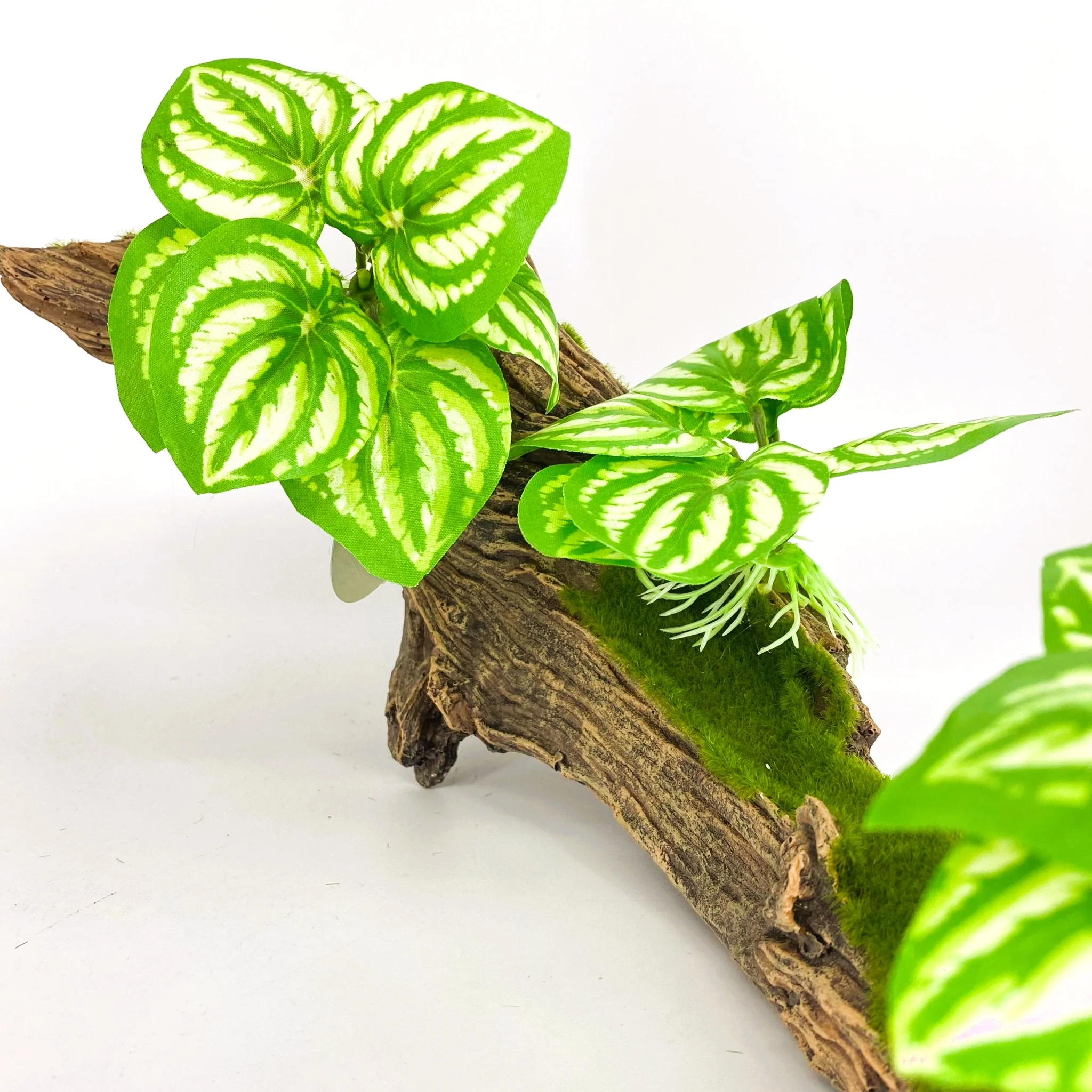 Zhen De Decoration - Wood w/ Plants - F07-6 - Image 4