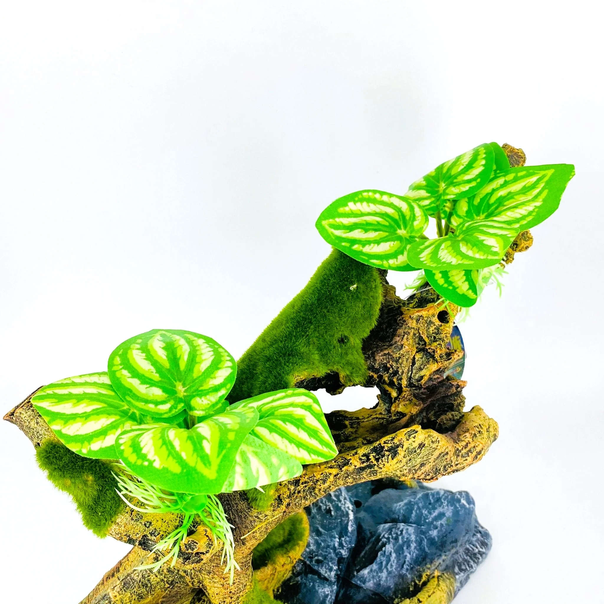 Zhen De Decoration - Wood w/ Plants - F25278-6 - Image 3